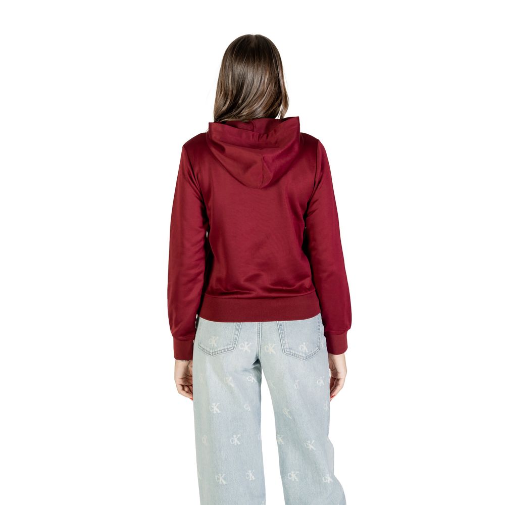 Sweat à capuche en coton bordeaux de la marque Calvin Klein, style décontracté et confortable pour homme ou femme.