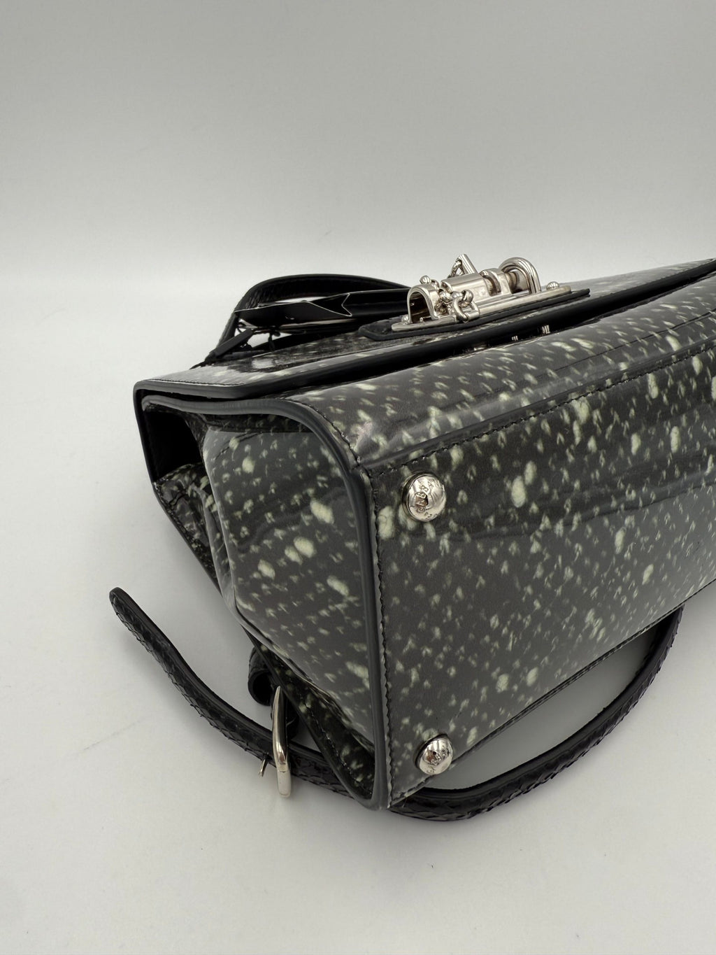 Sac à main Dolce & Gabbana Monica en python et cuir verni, élégant et sophistiqué, avec détails en or brillant.