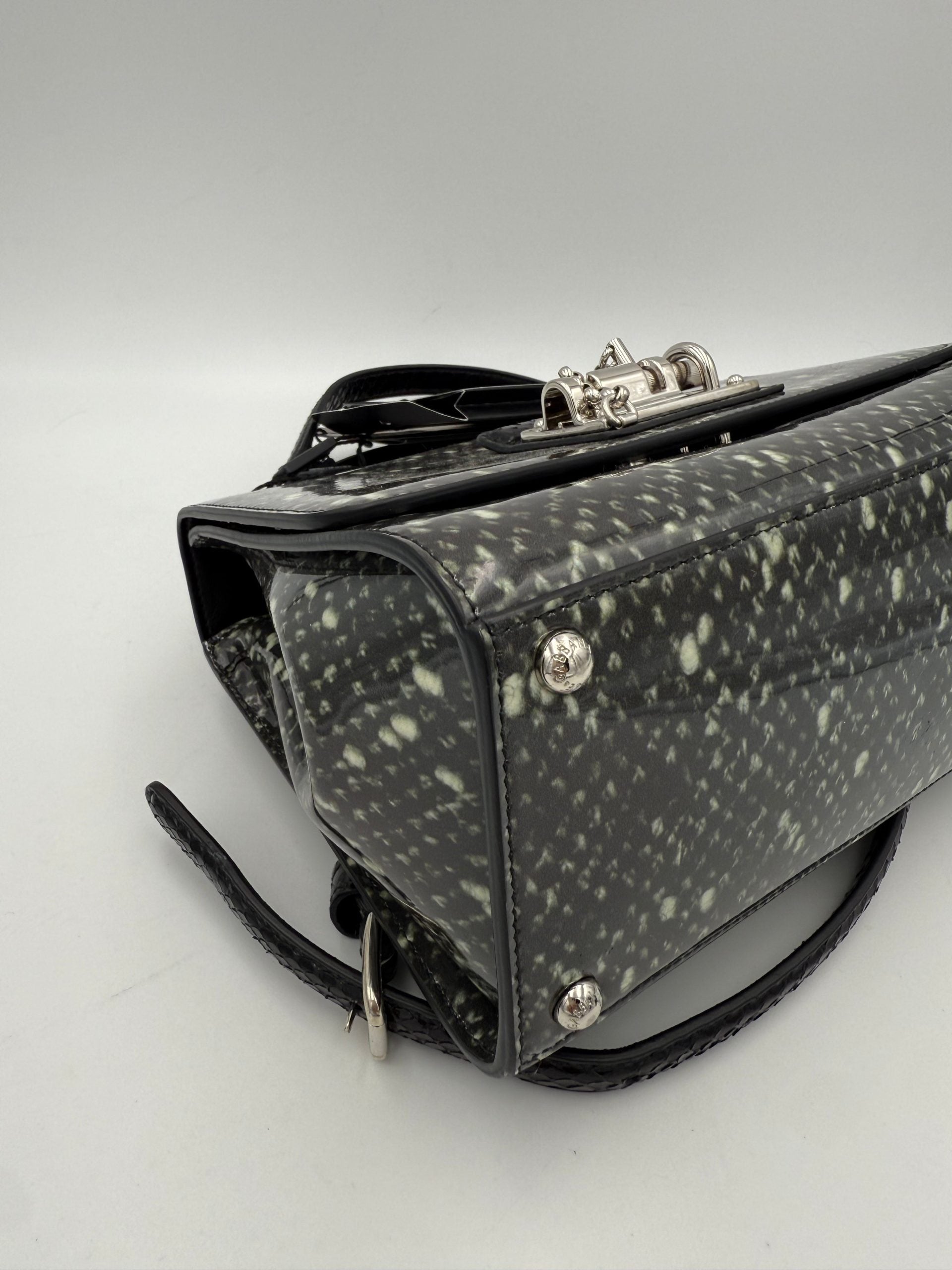 Sac à main Dolce & Gabbana Monica en python et cuir verni, élégant et sophistiqué, avec détails en or brillant.