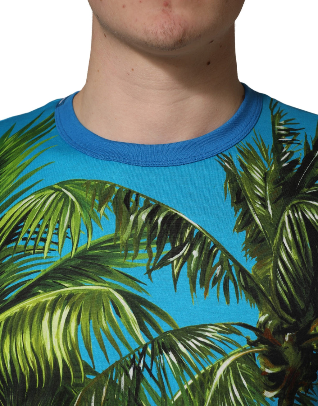 T-shirt en coton à col rond Dolce & Gabbana avec imprimé palmier bleu, style décontracté et tendance.