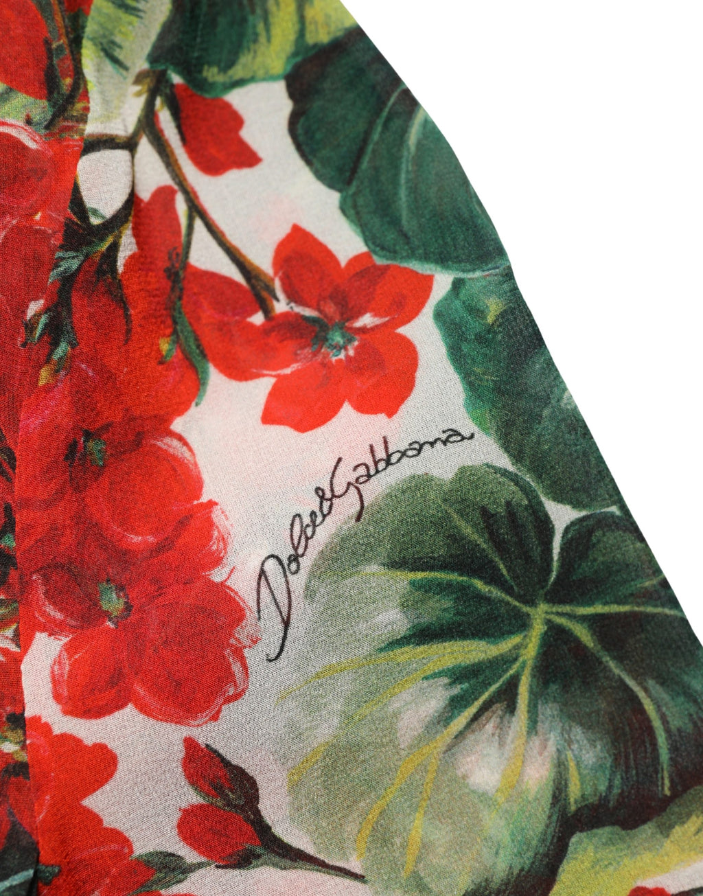 Robe longue à manches longues à fleurs multicolores Dolce & Gabbana avec décolleté en V, style élégant et féminin.