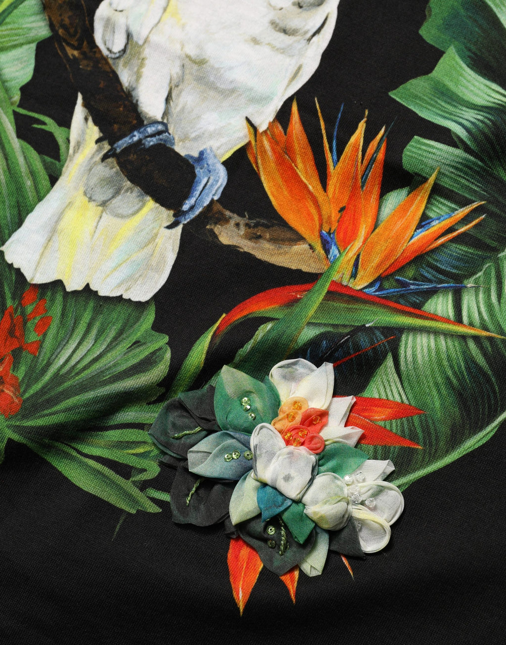 T-shirt rond en coton noir avec motif tropical Dolce & Gabbana, design élégant et confortable, vue de face.