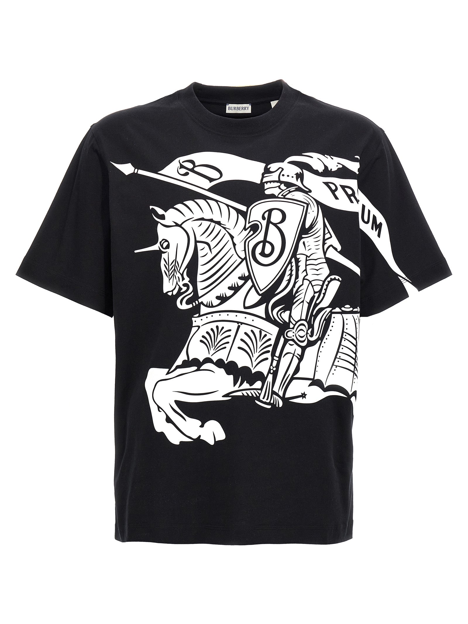 T-shirt en coton bicolore Burberry, coupe classique avec logo emblématique, image montrant le design et la texture du tissu.