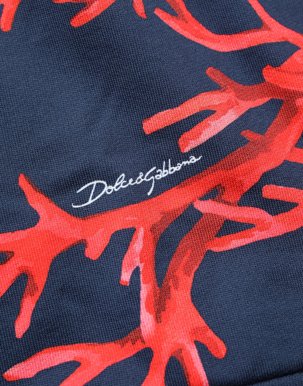 Sweat à capuche en coton bleu Dolce & Gabbana avec logo corail, style décontracté et logo visible sur la poitrine.