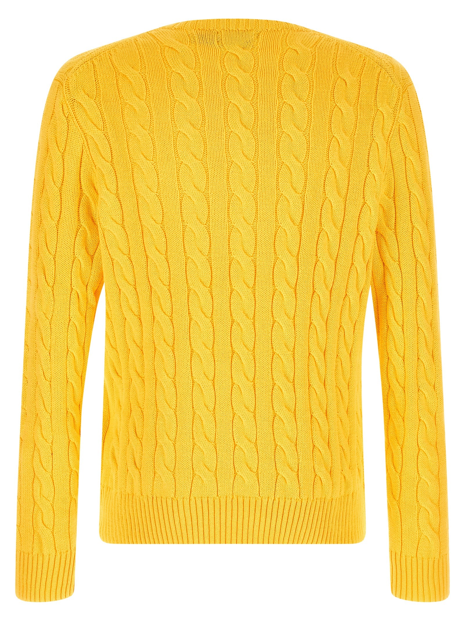Cardigan bicolore en coton Polo Ralph Lauren, vue de face, avec col et boutons visibles, style classique et confortable.