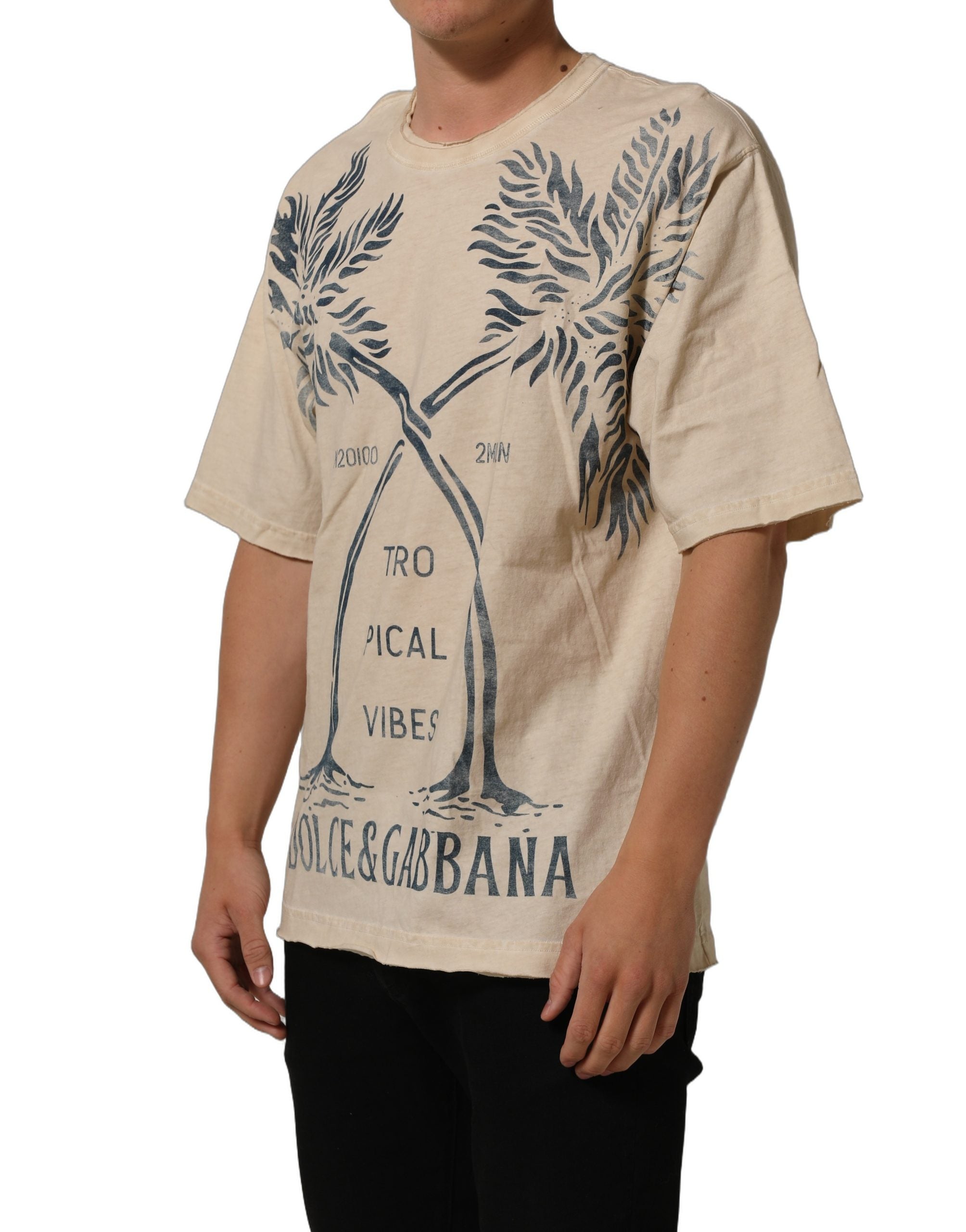 T-shirt beige en coton avec impression graphique Dolce & Gabbana, col rond, style décontracté et moderne.