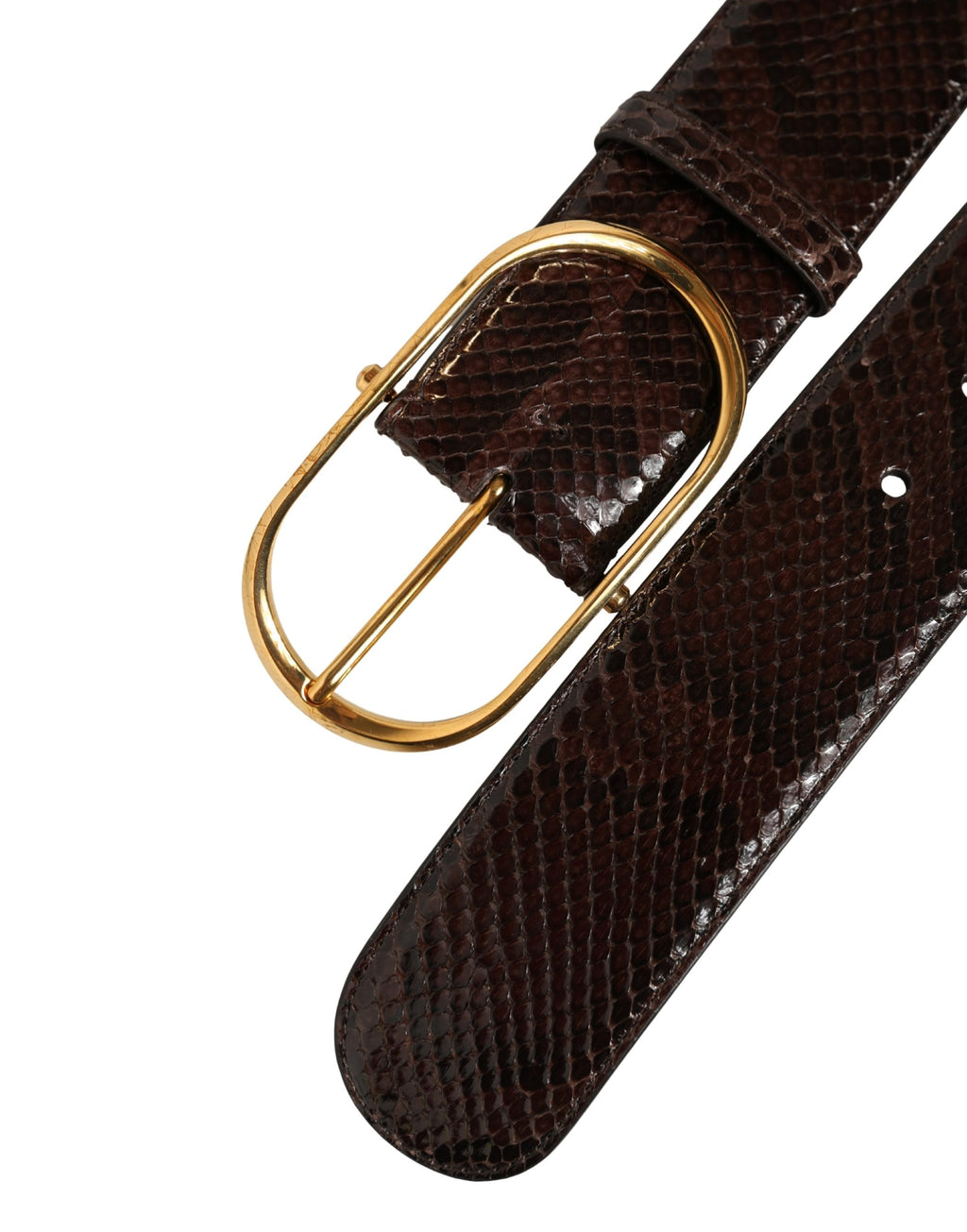 Dolce & Gabbana Brown Python Leather Gold Metal Buckle Belt