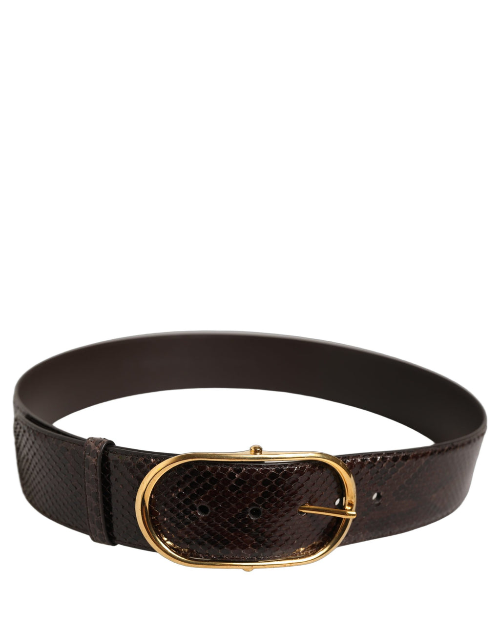 Dolce & Gabbana Brown Python Leather Gold Metal Buckle Belt