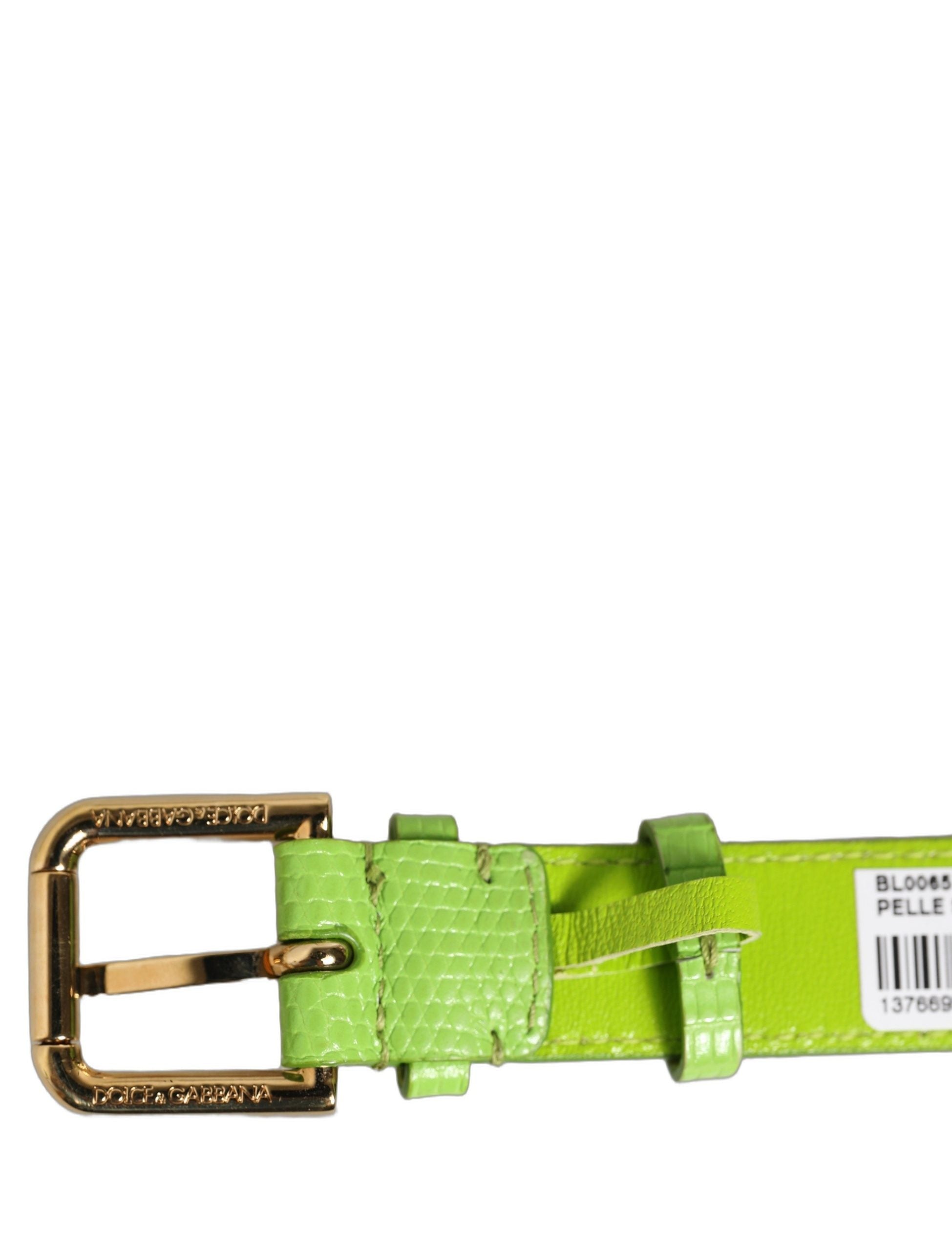 Dolce & Gabbana Green Textured Leather Gold Buckle Belt Strap Bracelet