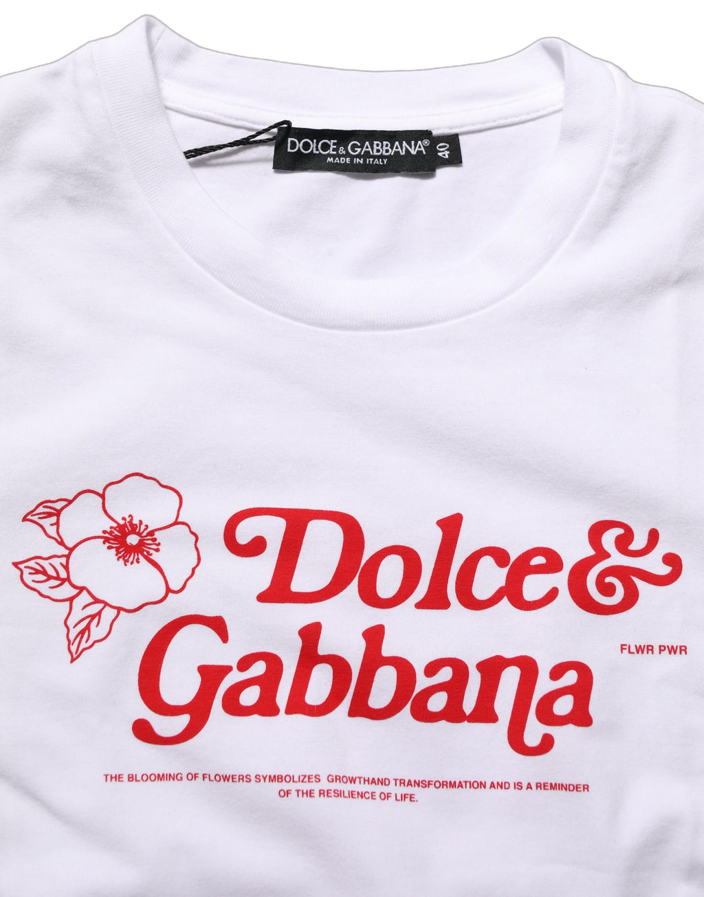 Dolce & Gabbana White Floral Logo Print Crew Neck T-shirt