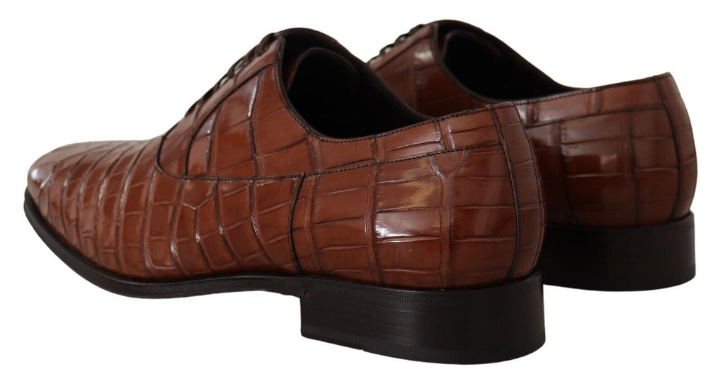 Dolce & Gabbana Braune Krokodilleder Herren Derby-Schuhe