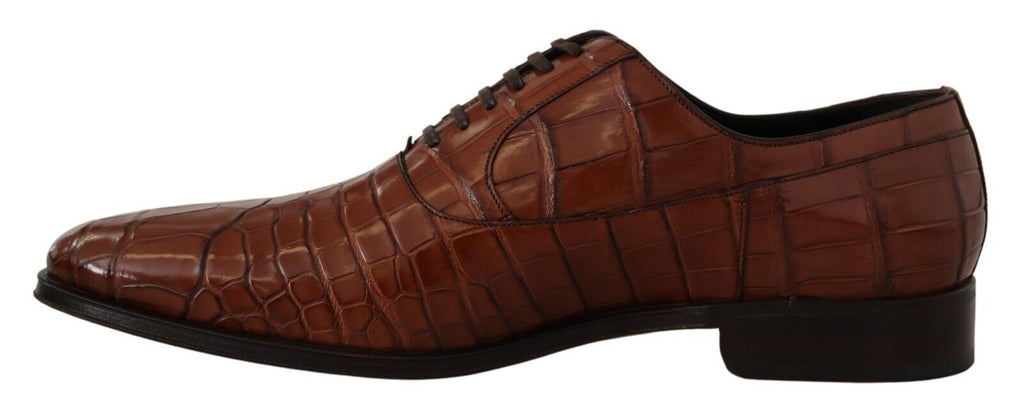 Dolce & Gabbana Braune Krokodilleder Herren Derby-Schuhe