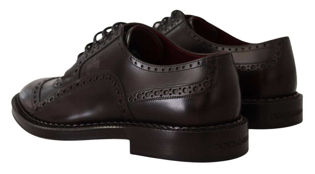 Chaussures Oxford Wingtip en cuir violet Dolce & Gabbana, chaussures formelles élégantes pour homme.