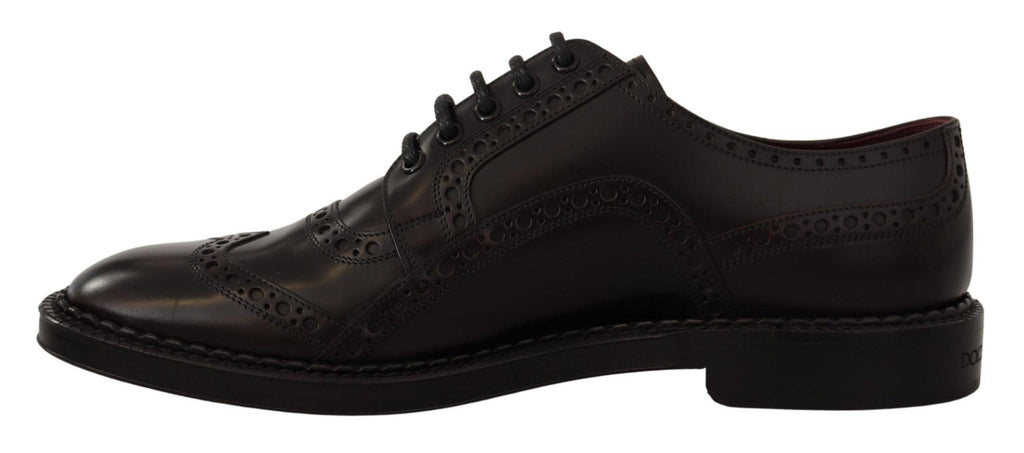 Chaussures Oxford Wingtip en cuir violet de Dolce & Gabbana, chaussures formelles élégantes pour homme.