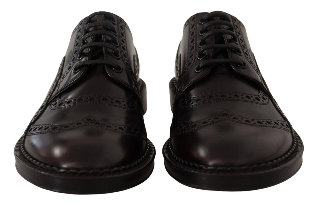Chaussures Oxford wingtip en cuir violet de Dolce & Gabbana, chaussures formelles élégantes pour homme.