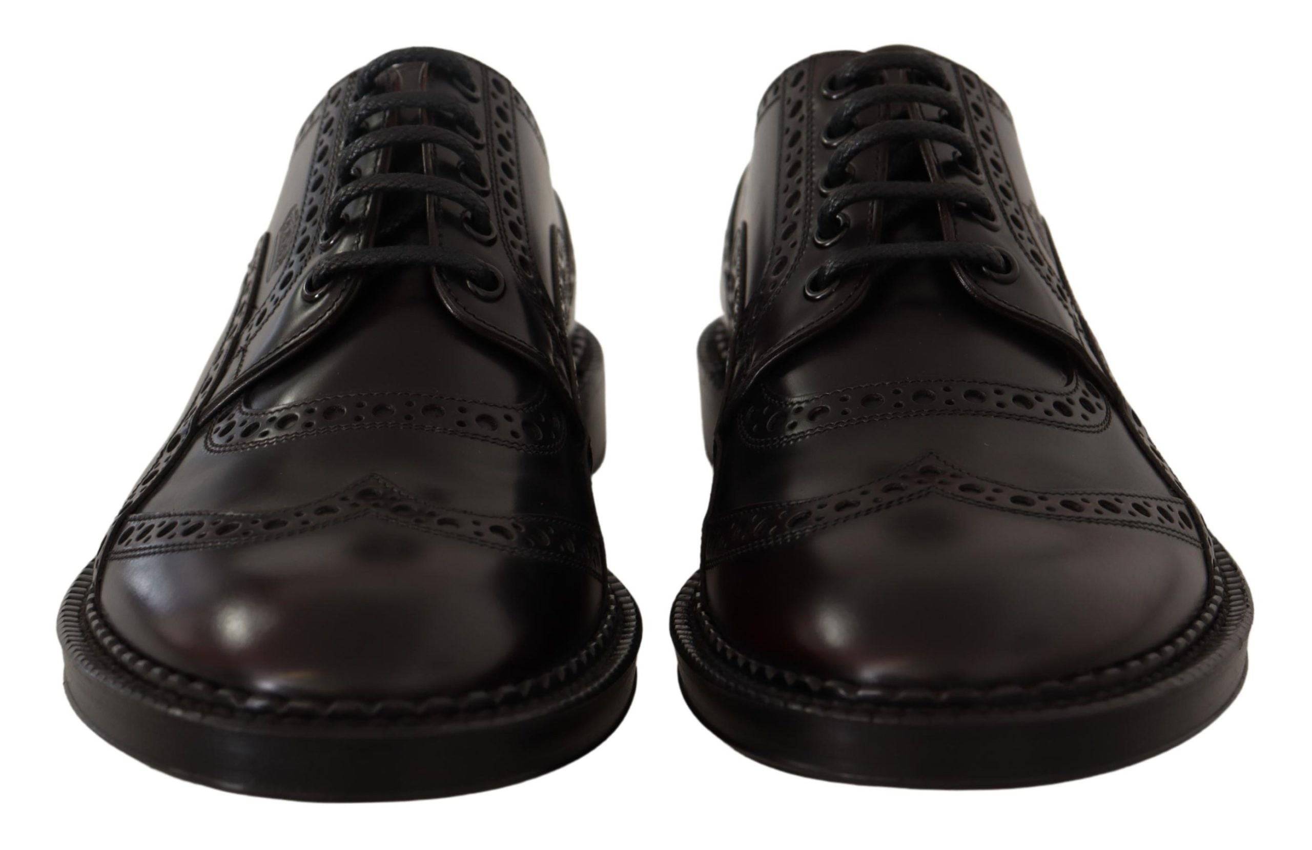 Chaussures Oxford wingtip en cuir violet de Dolce & Gabbana, chaussures formelles élégantes pour homme.