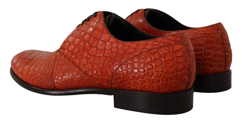 Chaussures derby en cuir exotique orange de Dolce & Gabbana, élégantes et sophistiquées, visibles en gros plan.