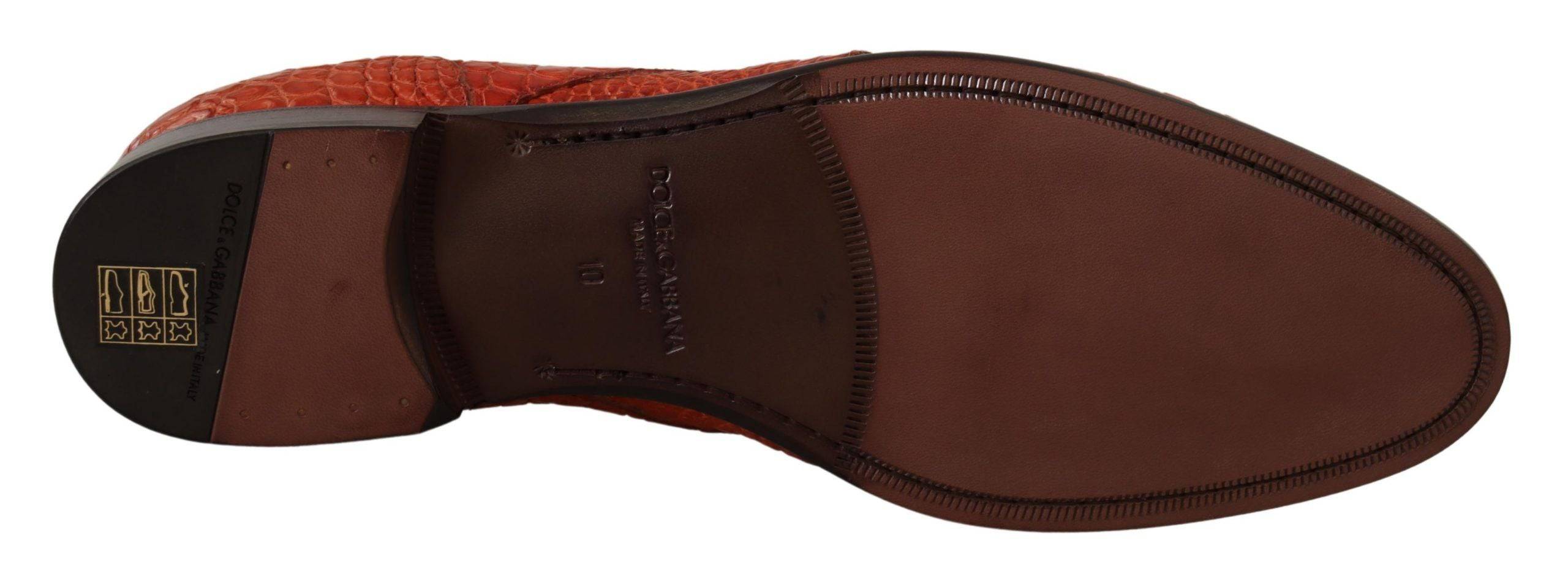 Chaussures Derby en cuir exotique orange de Dolce & Gabbana, style élégant et sophistiqué.