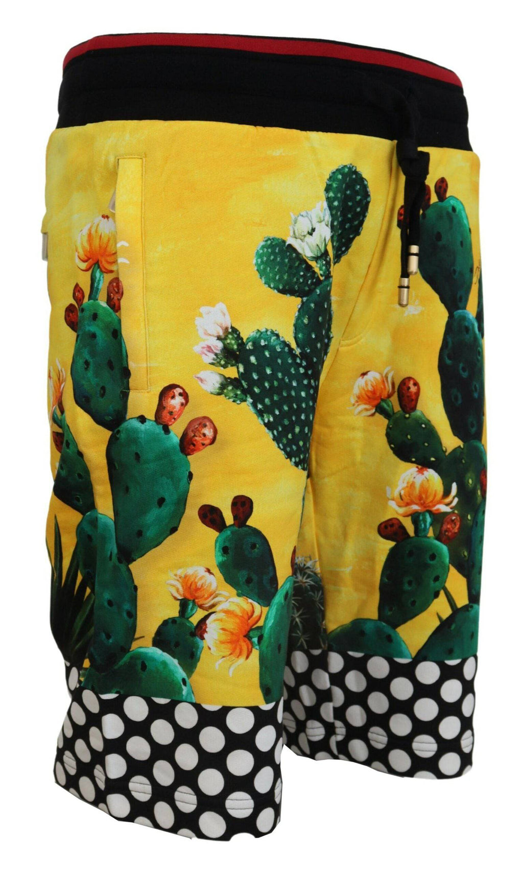 Shorts en coton Dolce & Gabbana à motif cactus multicolore, style décontracté et tendance.