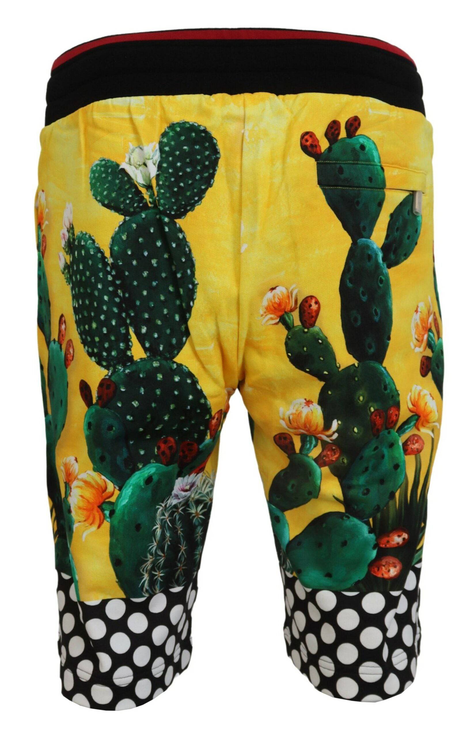 Shorts en coton Dolce & Gabbana à imprimé cactus multicolore, style décontracté et tendance pour l'été.
