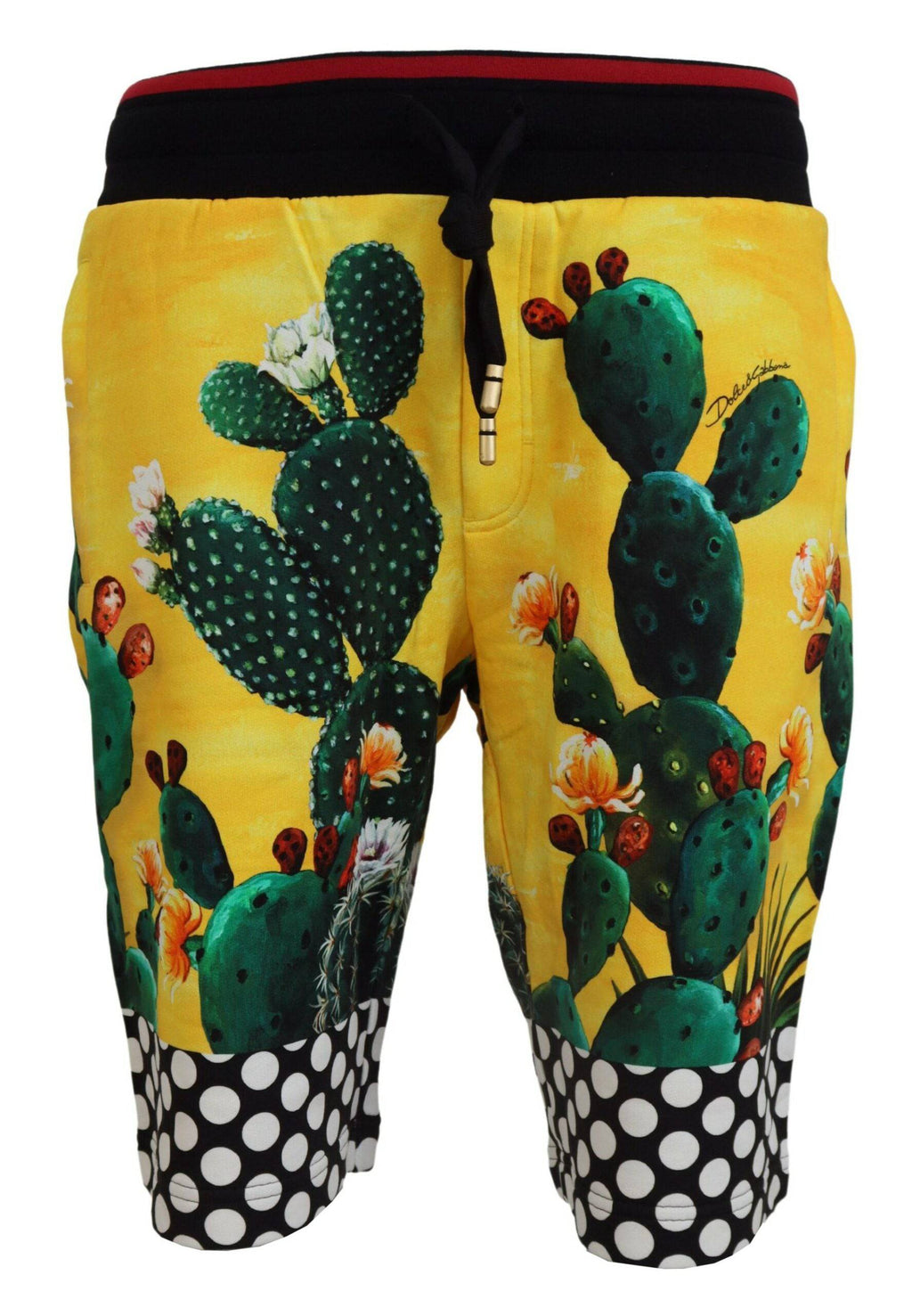 Shorts en coton Dolce & Gabbana à motif cactus multicolore, style décontracté avec logo élégant, parfait pour un look tendance.