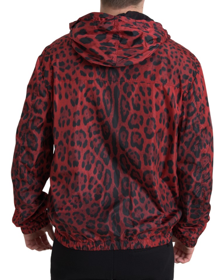 Veste bomber zippée Dolce & Gabbana à capuche avec motif léopard rouge, style tendance et détails mode.