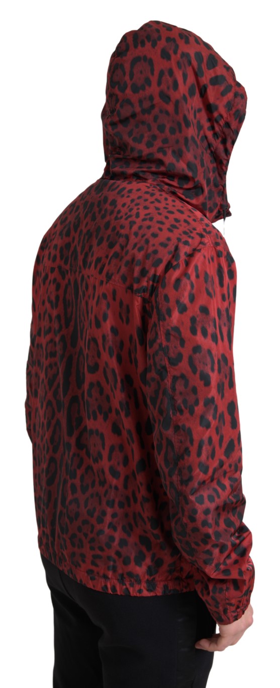 Veste bomber zippée Dolce & Gabbana rouge à motif léopard avec capuche, style décontracté et tendance.