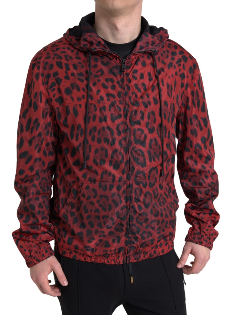Veste bomber à capuche rouge avec motif léopard Dolce & Gabbana, fermeture éclair complète, tissu élégant et tendance.