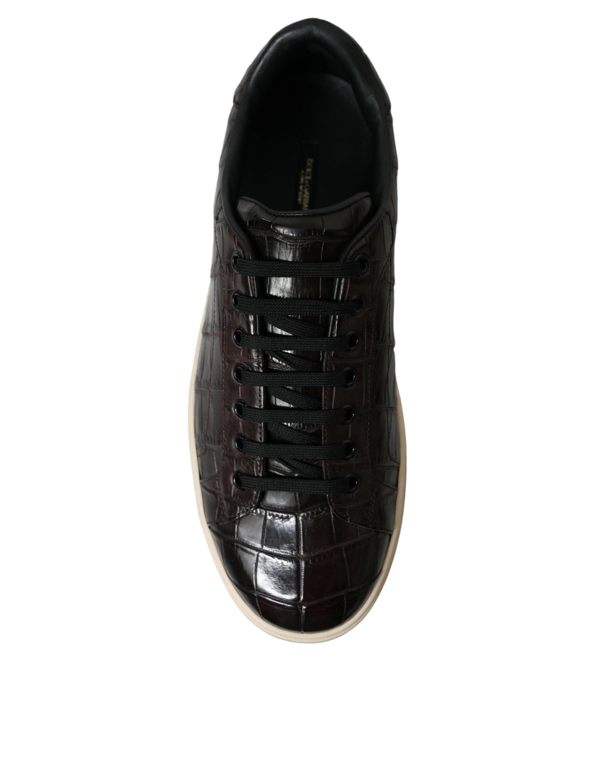Chaussures sneakers décontractées pour homme Dolce & Gabbana en cuir exotique crocodile marron, style élégant et moderne.