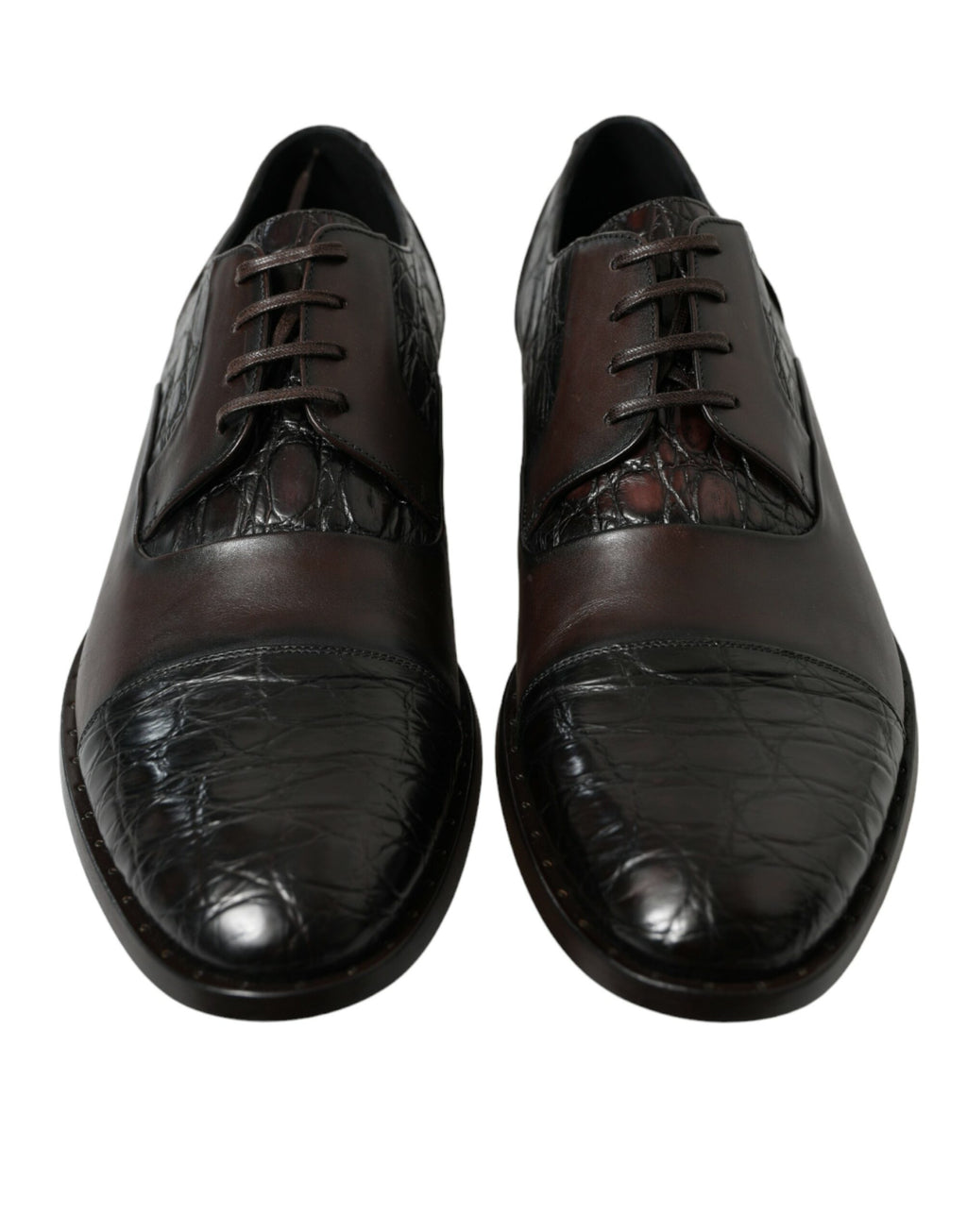 Chaussures habillées pour hommes Dolce & Gabbana en cuir exotique marron, élégantes et formelles.