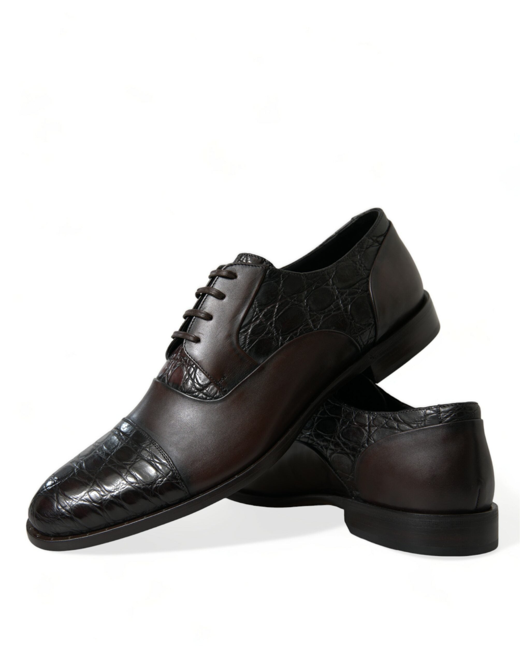 Chaussures formelles pour homme Dolce & Gabbana en cuir exotique marron, élégantes et sophistiquées.