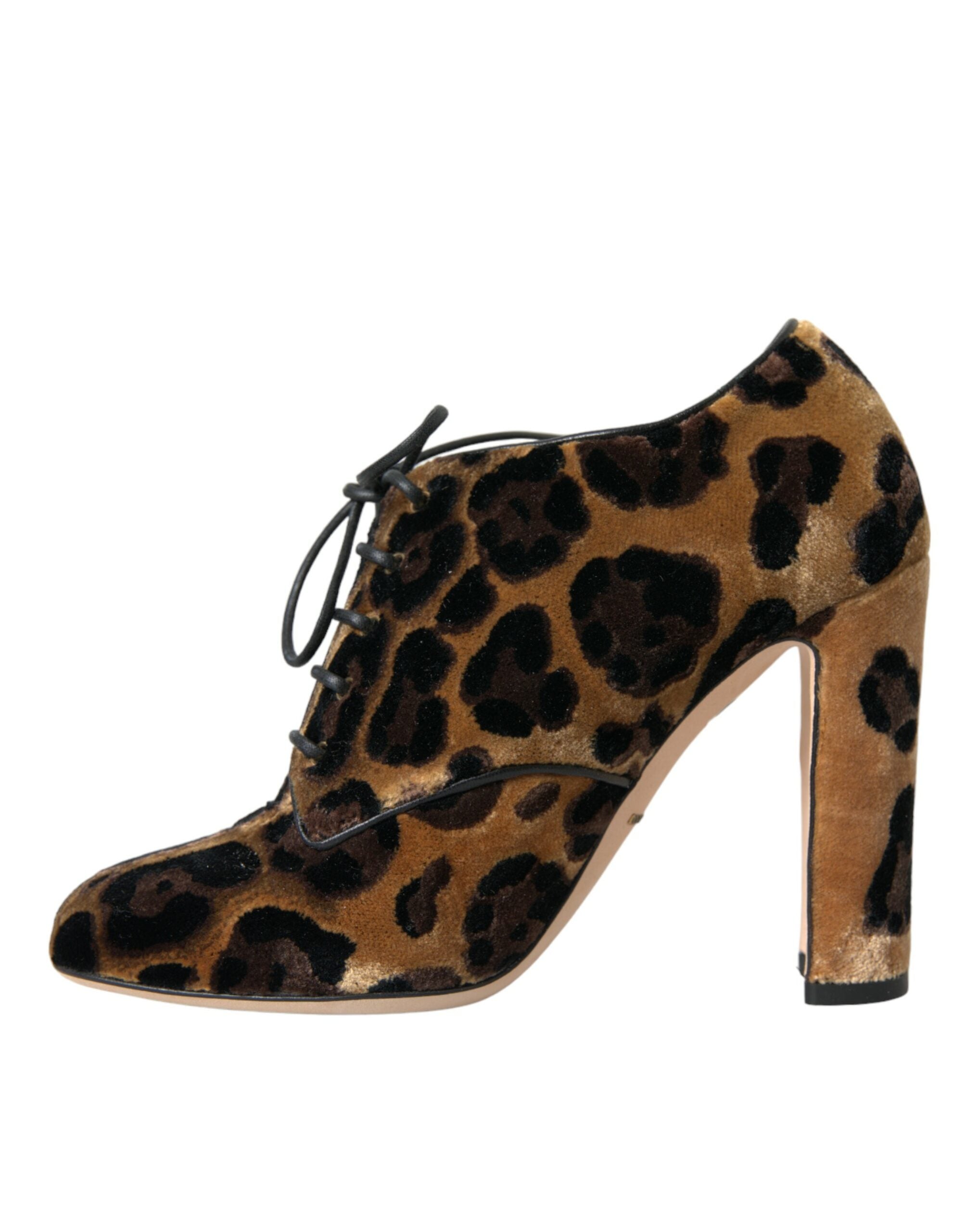 Bottines marron à motif léopard en dentelle et lacets de Dolce & Gabbana, chaussures élégantes et tendance pour femmes.