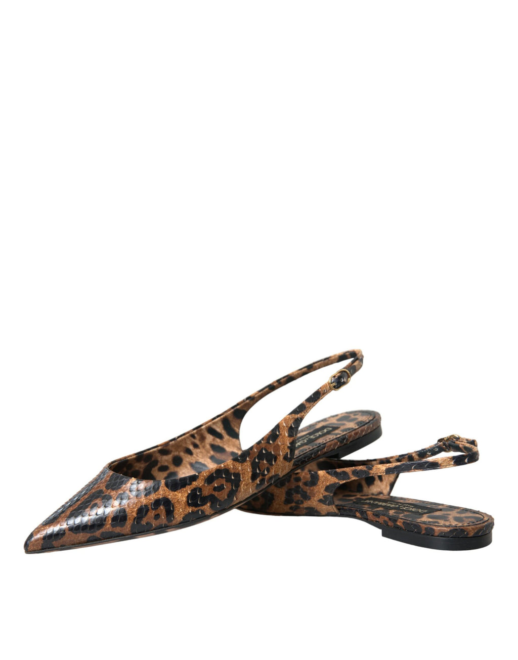 Chaussures Dolce & Gabbana slingback en peau exotique léopard marron, élégantes et sophistiquées.