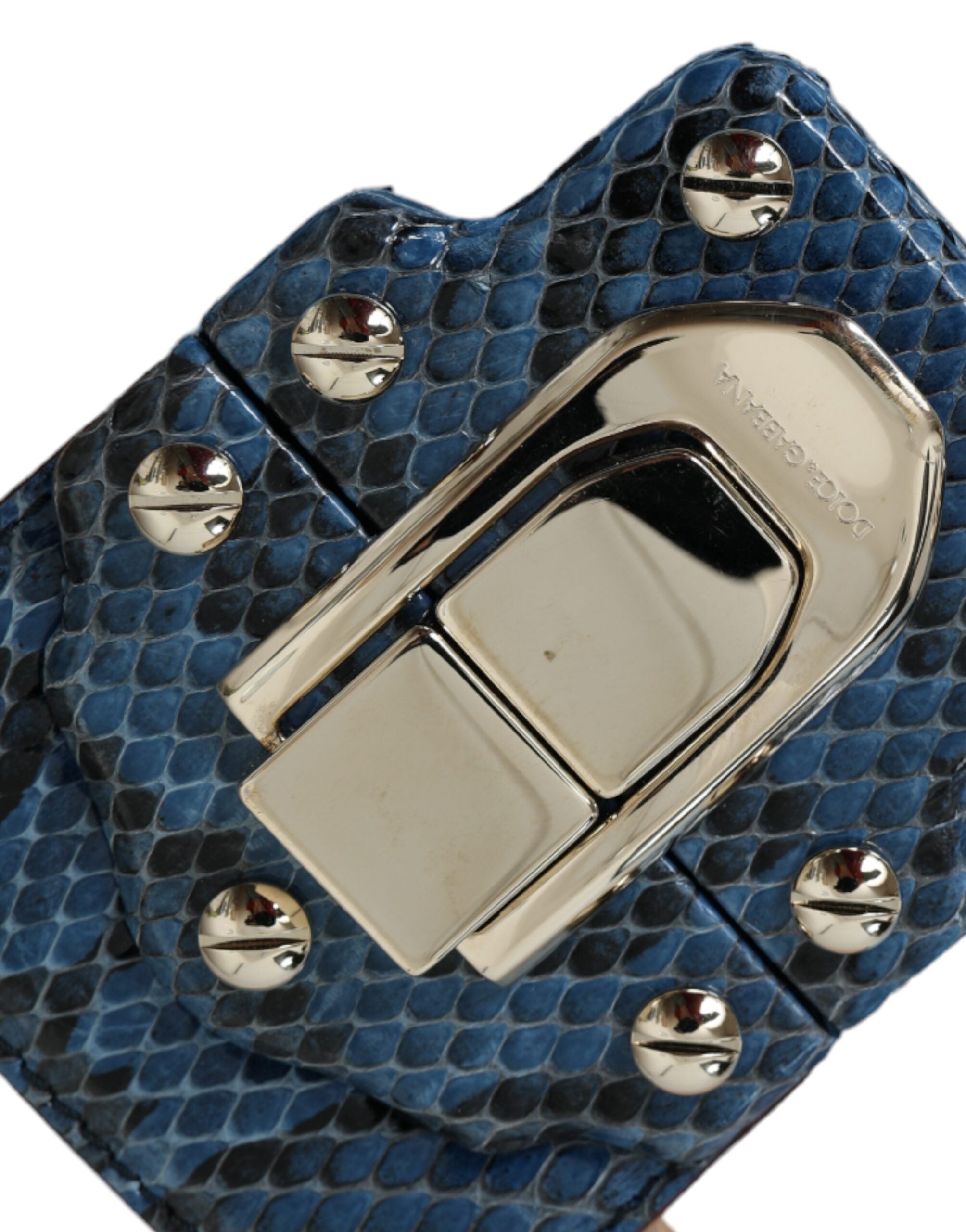 Sac bandoulière Dolce & Gabbana Lucia en cuir exotique bleu beige, élégant et sophistiqué, visible avec détails de la texture du cuir.