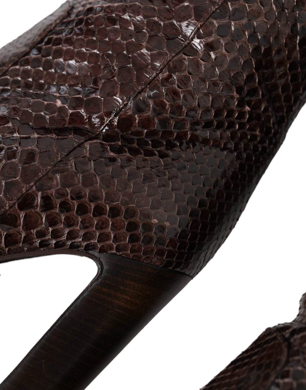 Escarpins à talons en cuir exotique marron de Dolce & Gabbana, bottes hautes élégantes pour femmes.