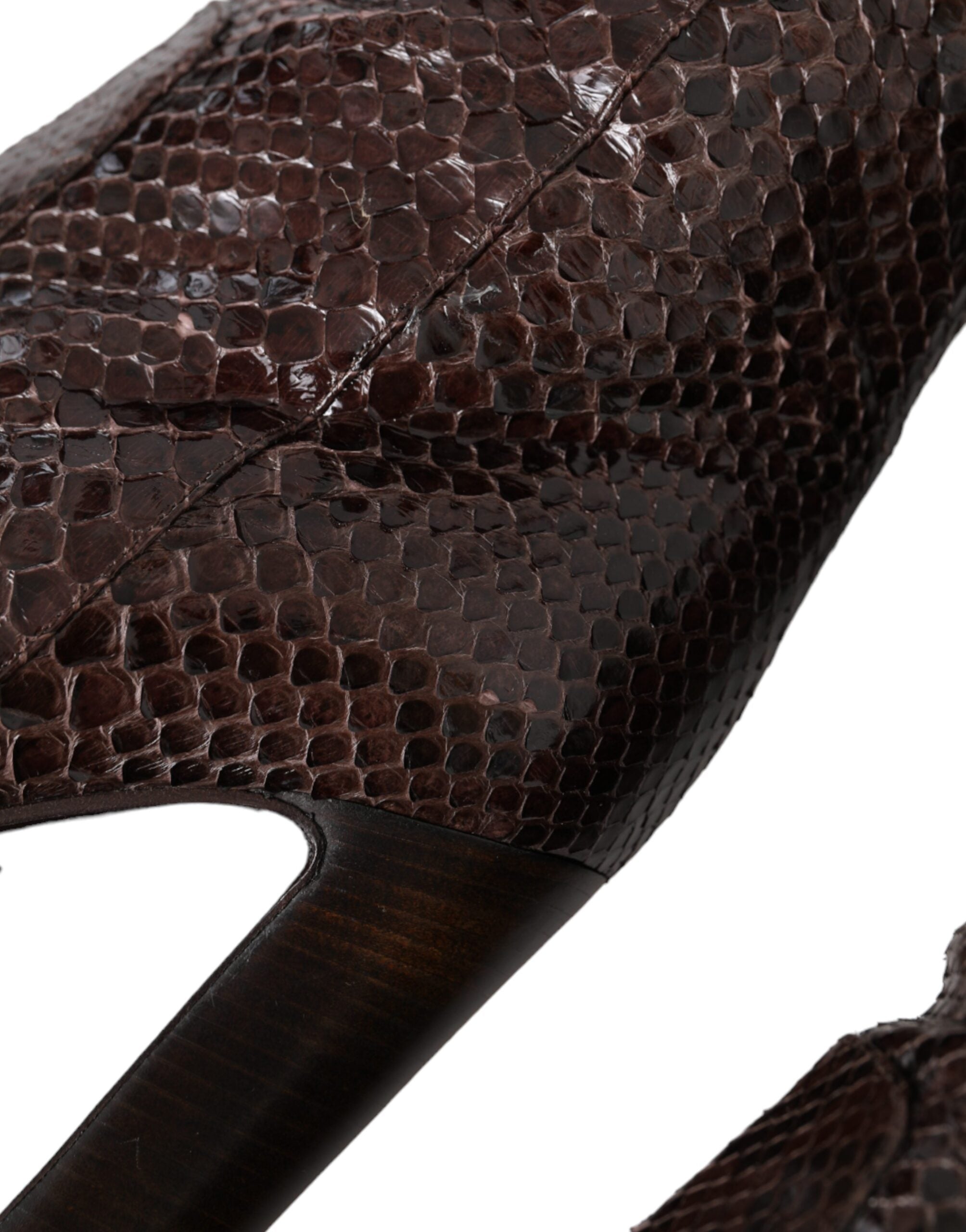 Escarpins à talons en cuir exotique marron de Dolce & Gabbana, bottes hautes élégantes pour femmes.