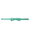 Dolce & Gabbana Mint Green Silk Adjustable Neck Men Bow Tie
