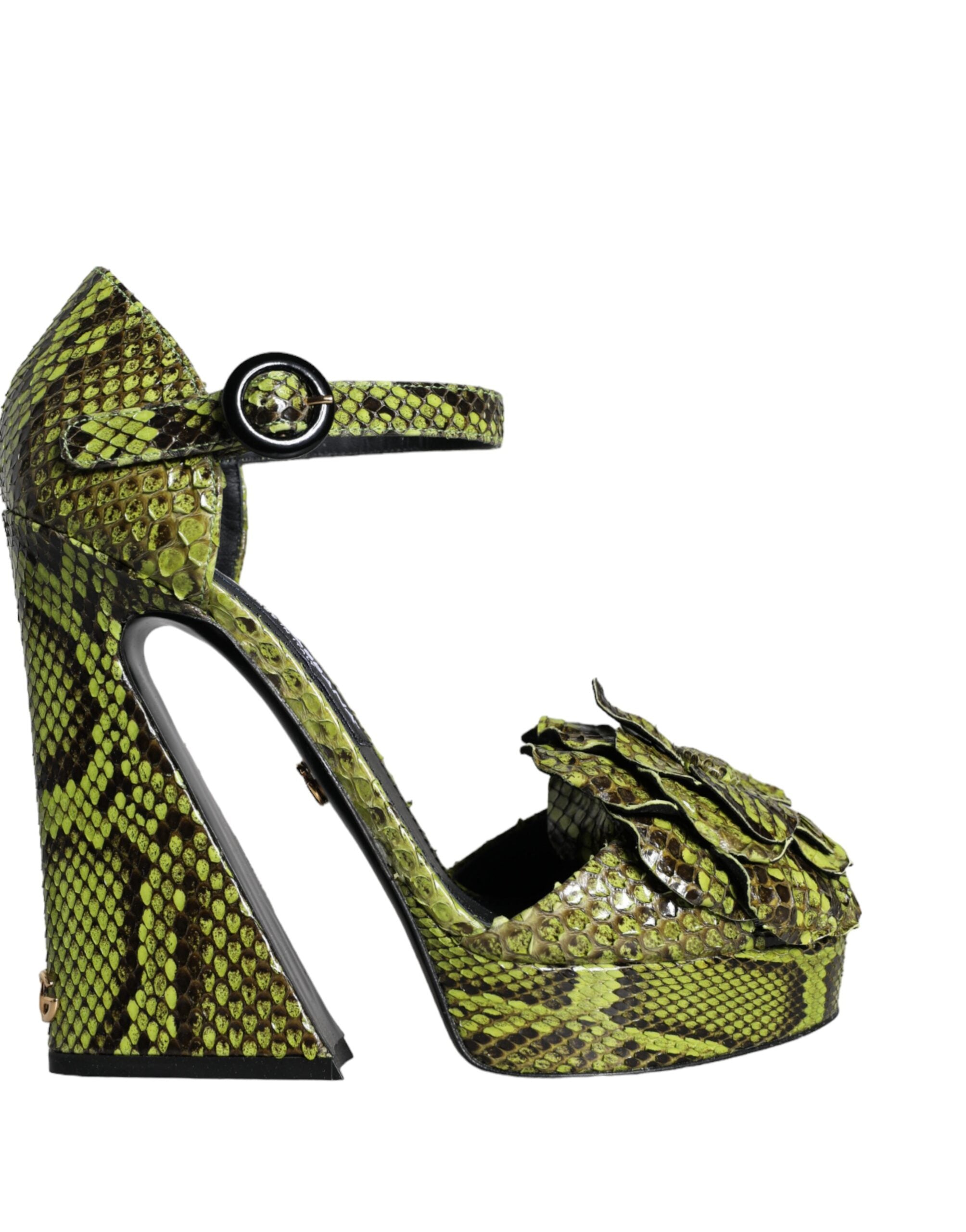 Sandales à talons Dolce & Gabbana en cuir exotique vert avec bride à la cheville, chaussures élégantes pour femme.