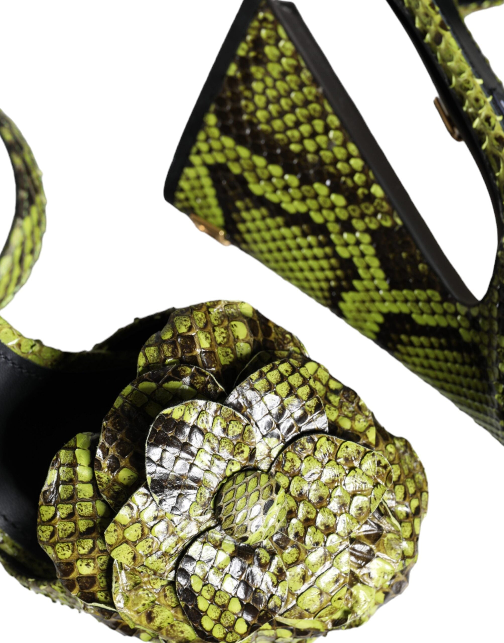 Sandales à talons Dolce & Gabbana en cuir exotique vert avec bride à la cheville, chaussures élégantes pour femmes.