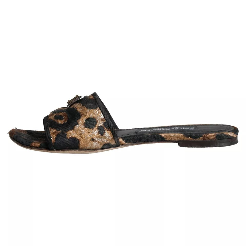 Sandales plates Dolce & Gabbana en cuir marron avec logo léopard, style élégant et confortable.