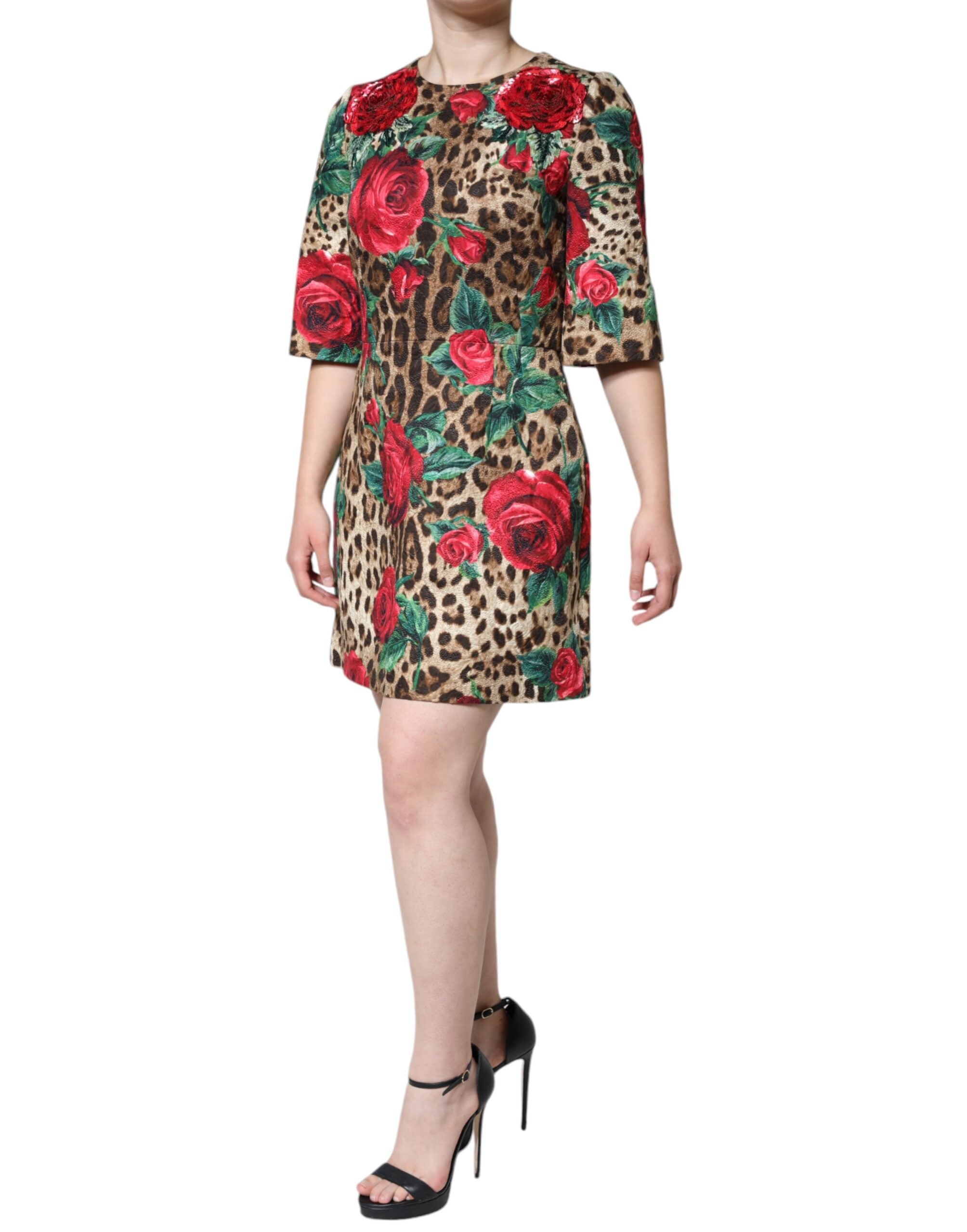 Robe en coton Dolce & Gabbana à coupe évasée, motif léopard marron, roses rouges, style élégant et floral.