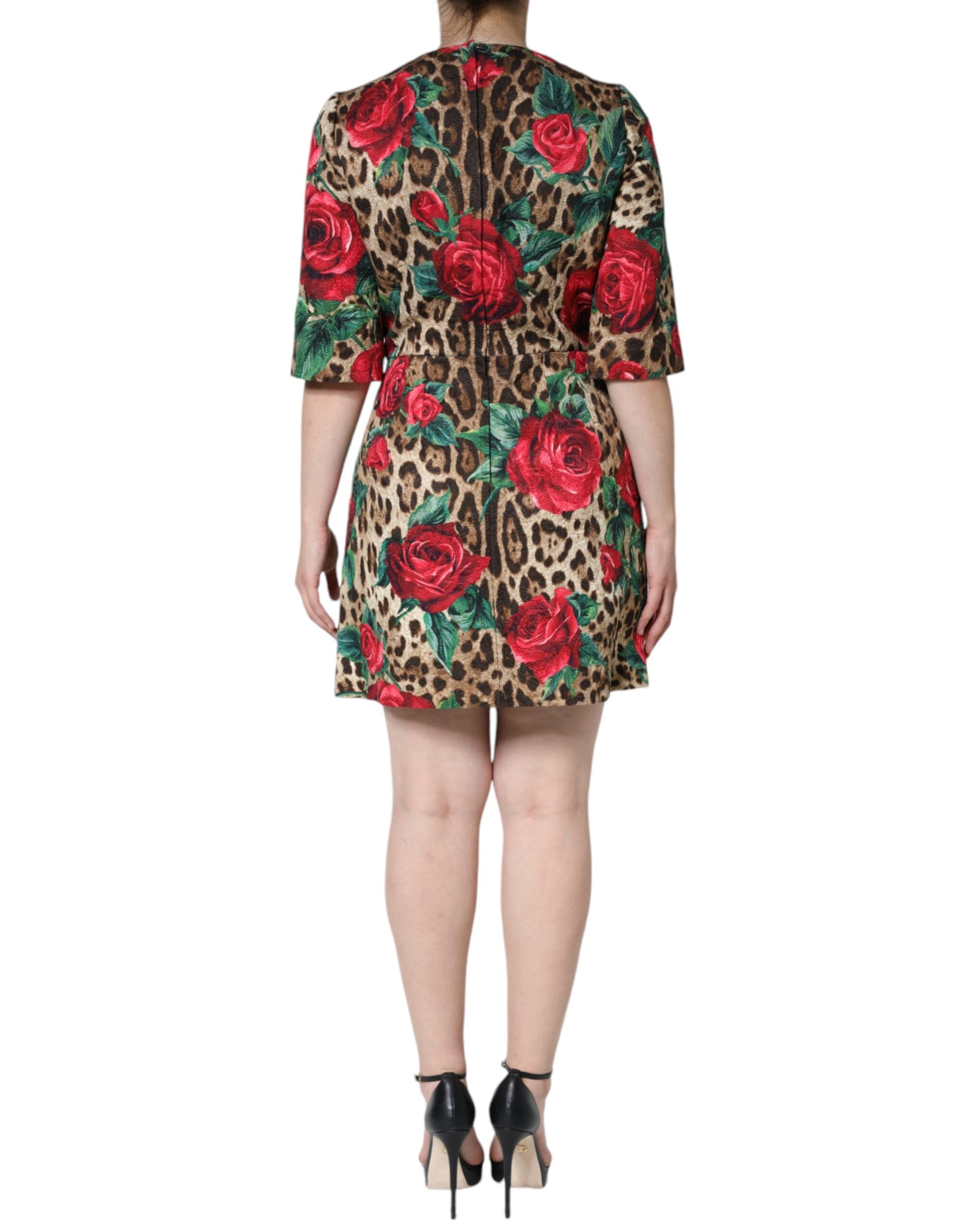 Robe en coton Dolce & Gabbana à coupe évasée, motif léopard marron, roses rouges, style élégant et féminin.