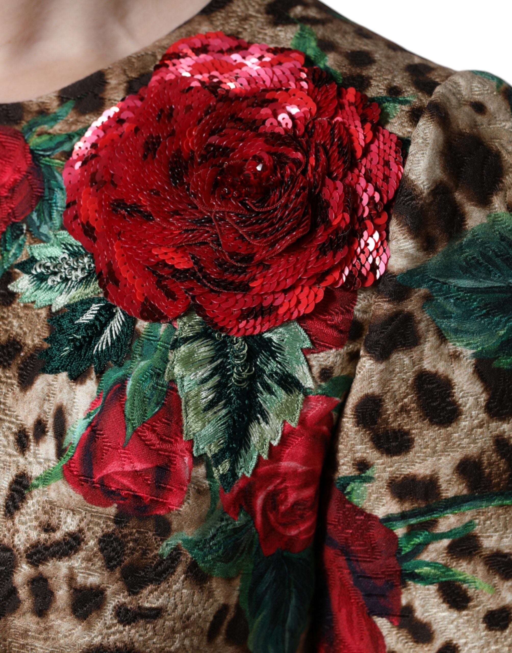 Robe en coton Dolce & Gabbana à coupe évasée, motif léopard brun avec roses rouges, style élégant et tendance.