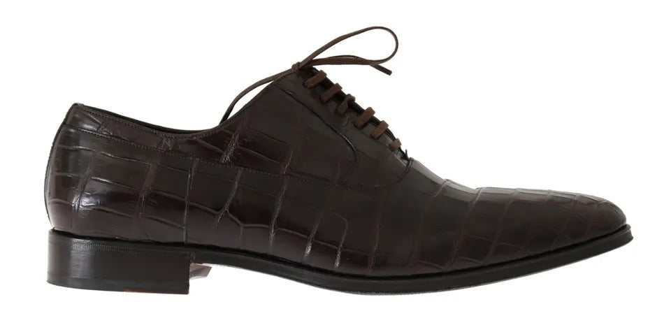 Chaussures formelles en cuir marron à motif Dolce & Gabbana, élégantes et sophistiquées pour occasions spéciales.