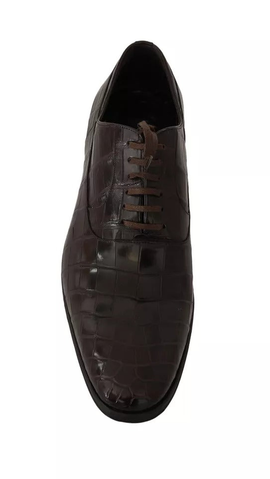 Chaussures formelles en cuir marron à motif Dolce & Gabbana, élégantes et sophistiquées pour occasions spéciales.