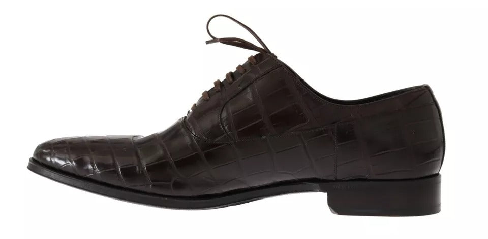 Chaussures habillées en cuir marron à motif Dolce & Gabbana, élégantes et formelles pour homme.