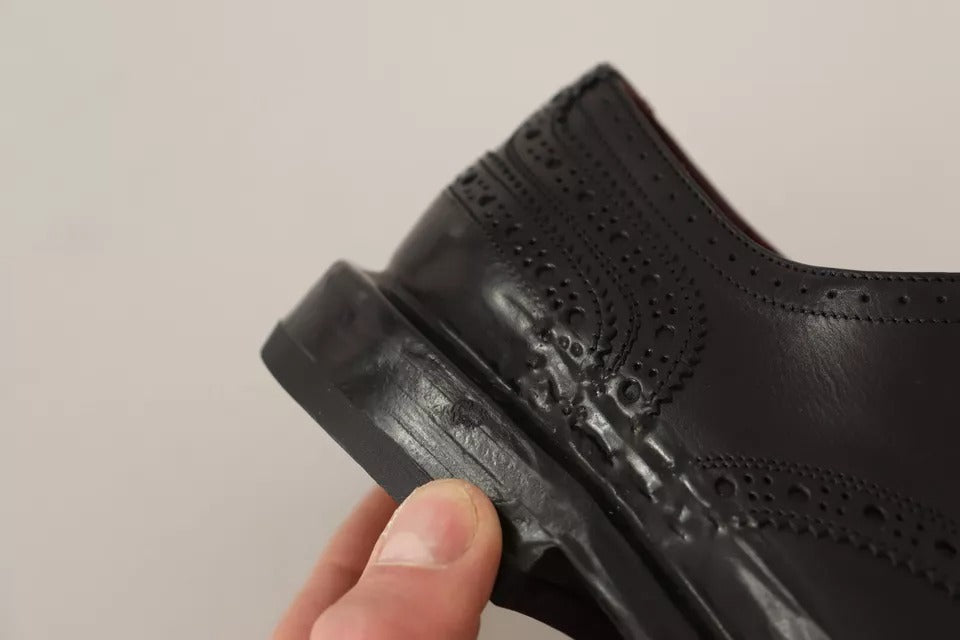 Chaussures derby en cuir perforé noir Dolce & Gabbana avec lacets, élégantes et sophistiquées.