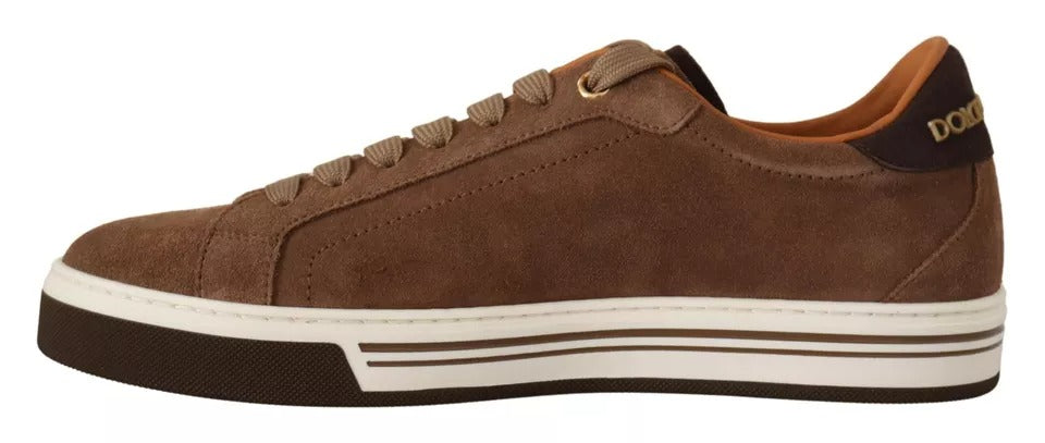 Chaussures basses en daim marron Dolce & Gabbana pour hommes, sneakers logo élégants et confortables.