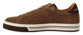 Chaussures basses en daim marron Dolce & Gabbana pour hommes, sneakers logo élégants et confortables.