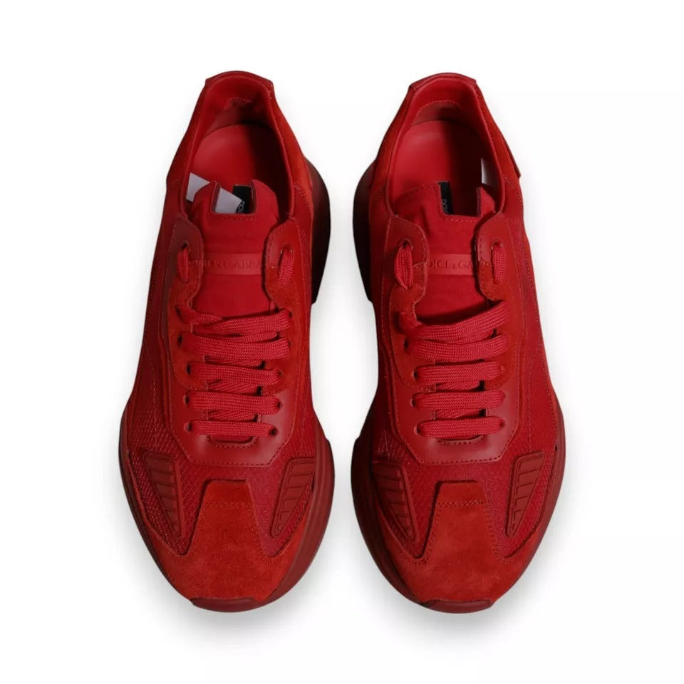 Chaussures sneakers basses en cuir rouge Dolce & Gabbana Daymaster, vue de face, avec détails de la semelle et du design.
